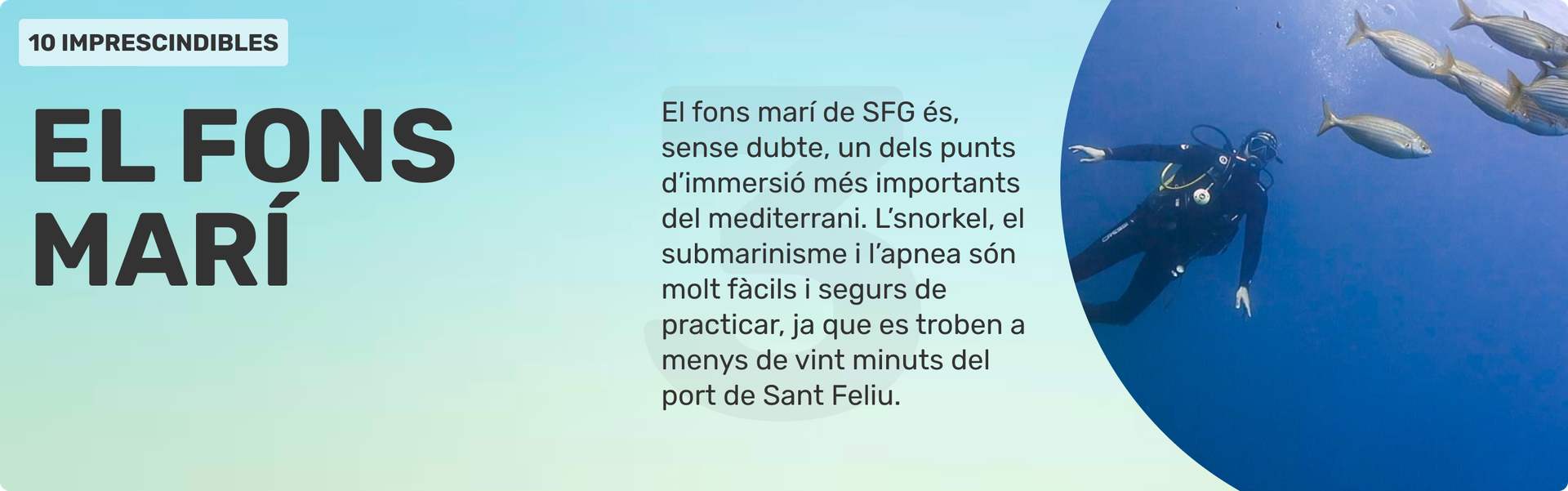 El Fons Marí — Immersió i snorkel al port de Sant Feliu de Guíxols